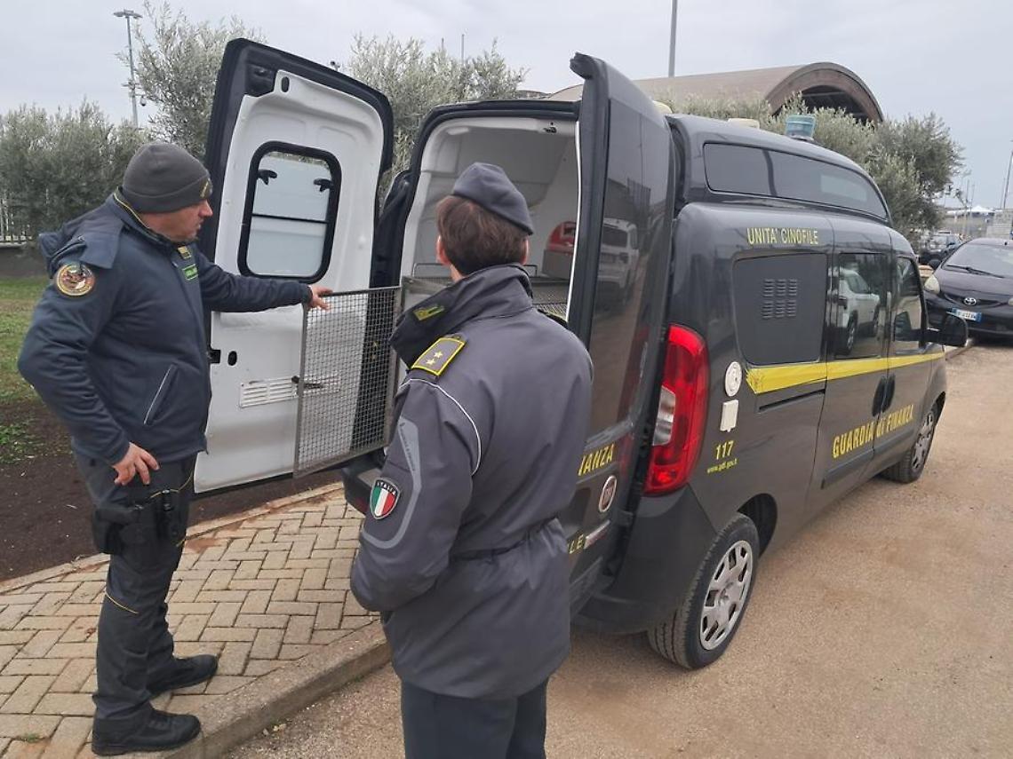 GdF: oltre 854 kg di droga sequestrati in tre mesi