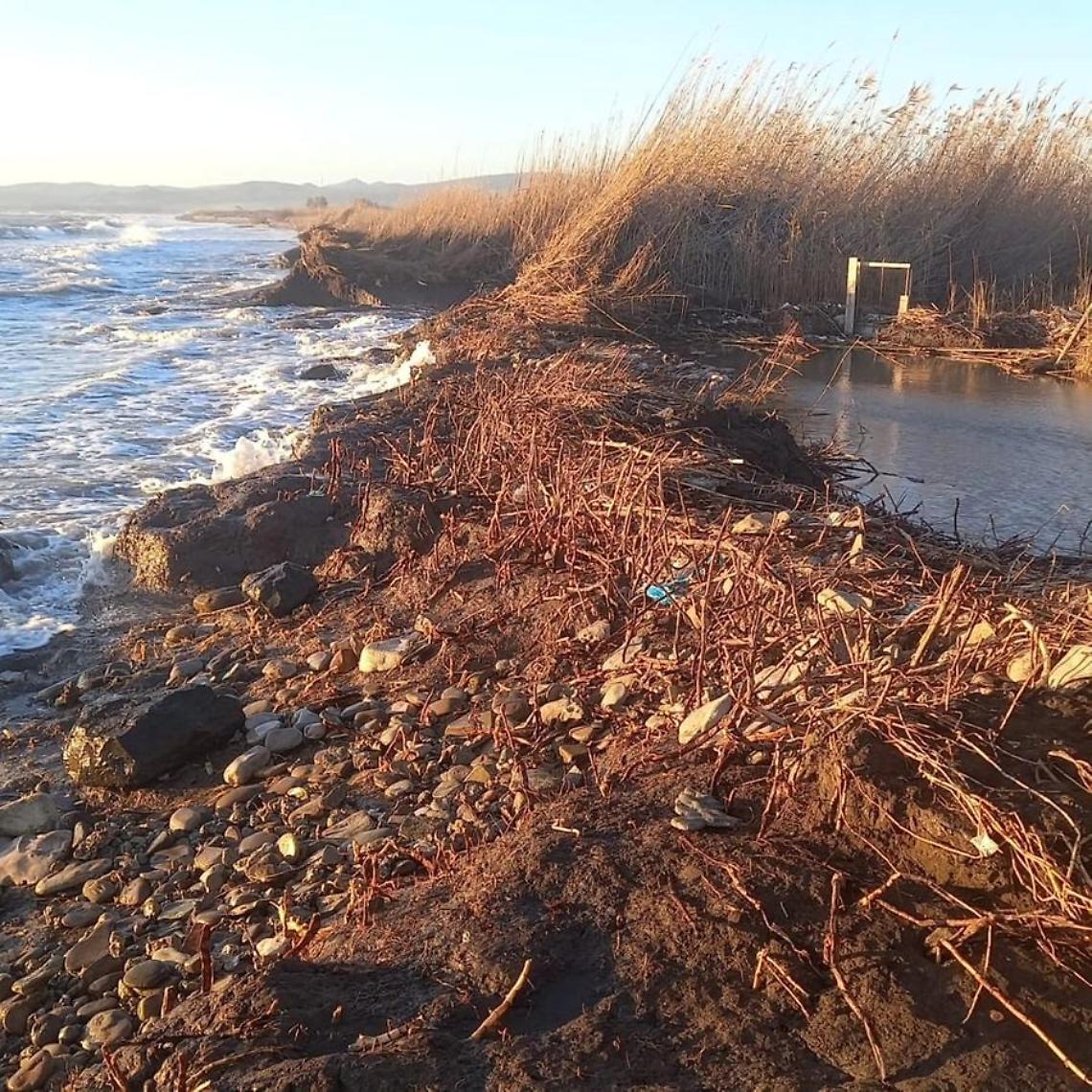 Il mare rompe gli argini ed entra in Palude. La sindaca: &laquo;La Regione intervenga&raquo;