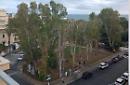 Piazza Verdi, saranno abbattuti cinque alberi