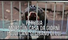 TG +24 edizione 17 Febbraio 2026