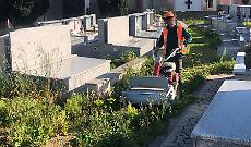 Csp, fase decisiva per i contratti di servizio