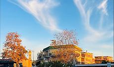 Arrivano le aiuole sponsorizzate