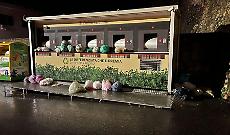 Rifiuti a Tarquinia, i giovani chiedono risposte subito