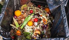 Viterbo sta predisponendo il Piano del cibo