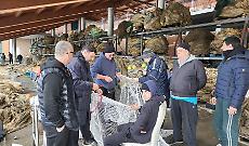 Pescatori in stato di agitazione