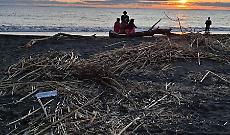 Tra rifiuti e canne anche le carcasse di animali