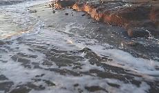 Il caso della Palude approda in Regione