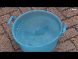 Cerveteri, frazione I Terzi senza acqua