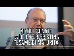 TG +24 edizione 16 Ottobre 2025