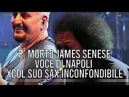 TG +24 edizione 29 Ottobre 2025