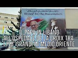 TG +24 edizione 2 Dicembre 2025