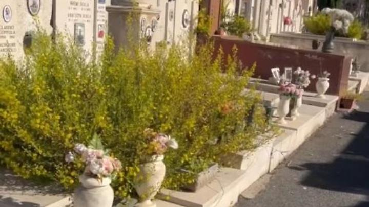 Cimitero monumentale immerso nel degrado