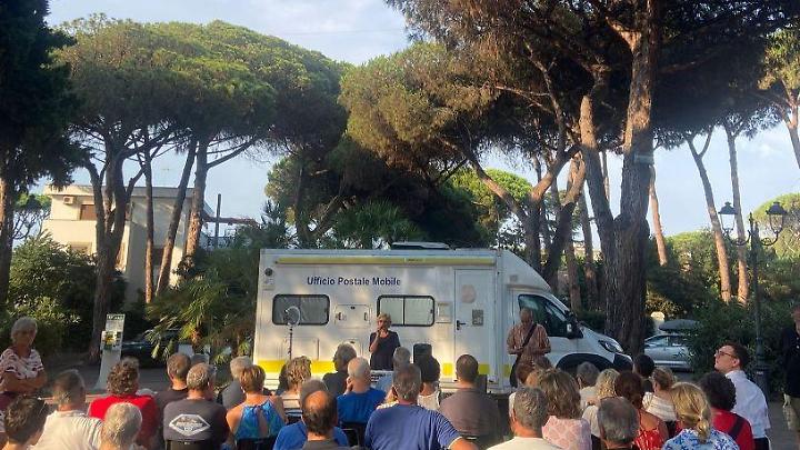 «Pini abbattuti per la sicurezza idrica e stradale. Intervento inevitabile»