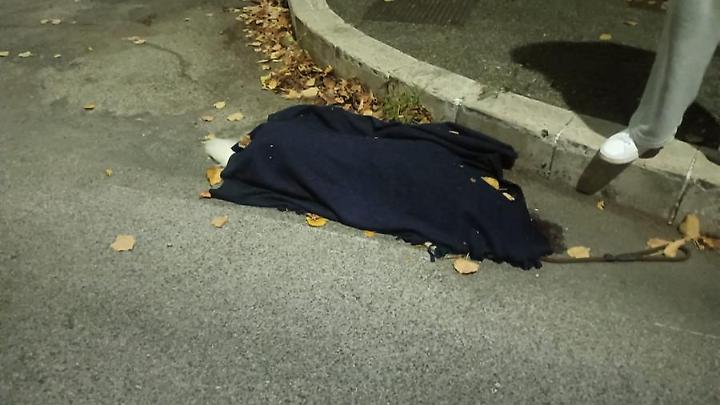Cane investito e ucciso in via S. Maria della Grotticella
