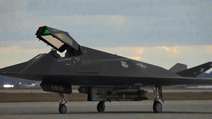 Il falco della notte