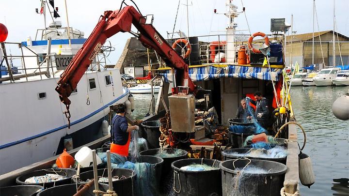 Cinque giorni in mare e stop ai tagli per il 2026: i pescatori tornano a respirare
