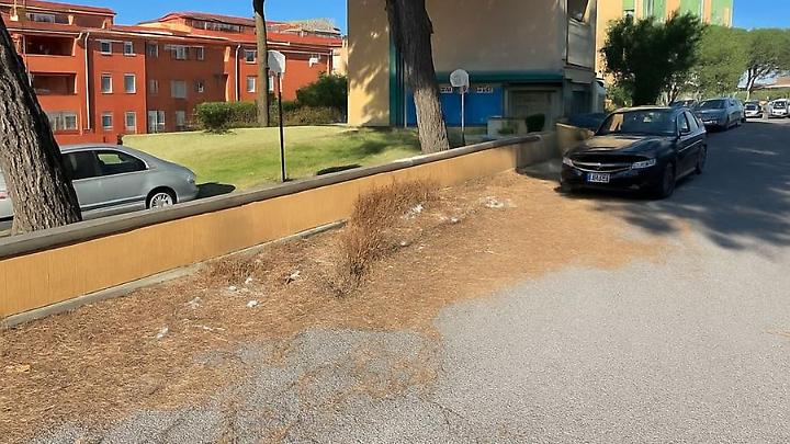 &Egrave; guerra alle auto abbandonate