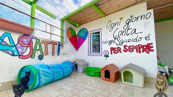 Dodici anni al servizio dei &ldquo;pelosetti&rdquo; pi&ugrave; bisognosi del territorio