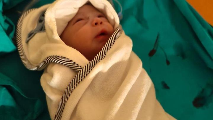 Il buongiorno e l&rsquo;oroscopo del 27 Gennaio 2026