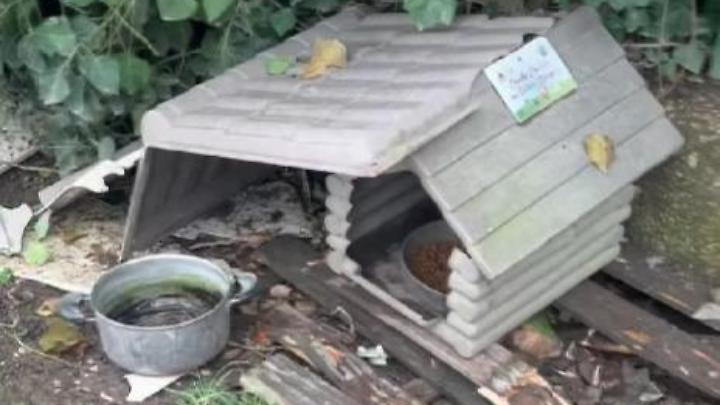 &laquo;Distrutte le casette della colonia felina&raquo;