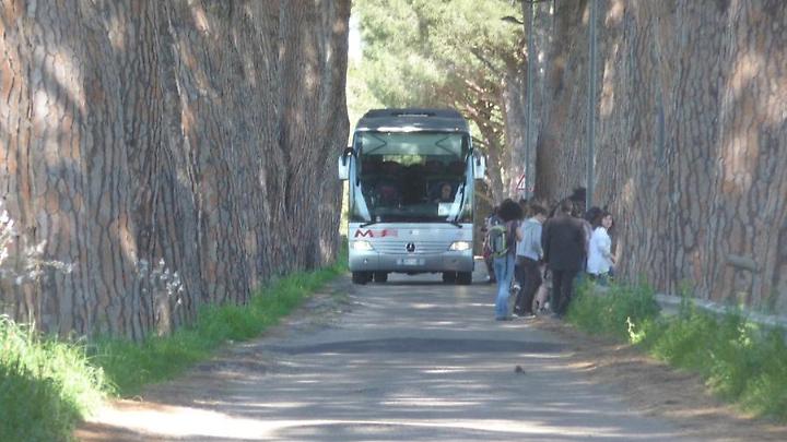 Potature sugli alberi, via della Necropoli chiusa 10 giorni