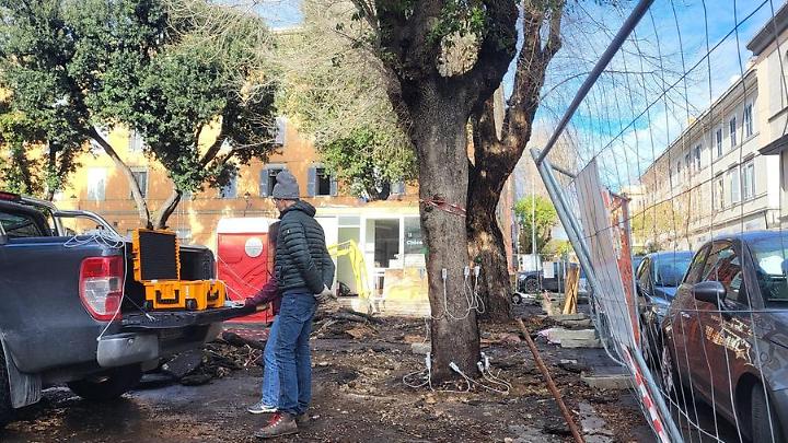 Lecci del mercato, &ldquo;nuova perizia&rdquo; ma stesso tecnico: monta la polemica