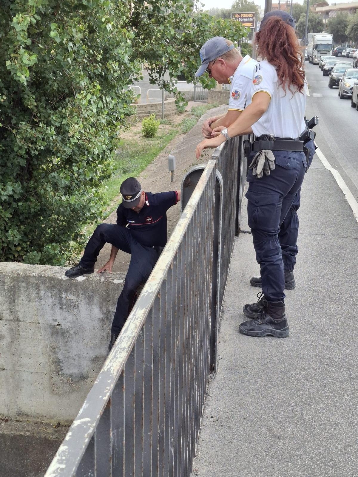 Carabinieri forestali ladispoli.jpg