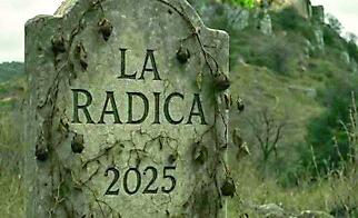 radica2.jpg