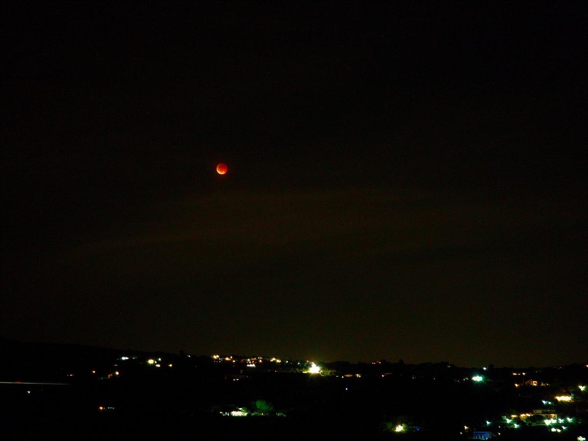 Luna Rossa2.jpg