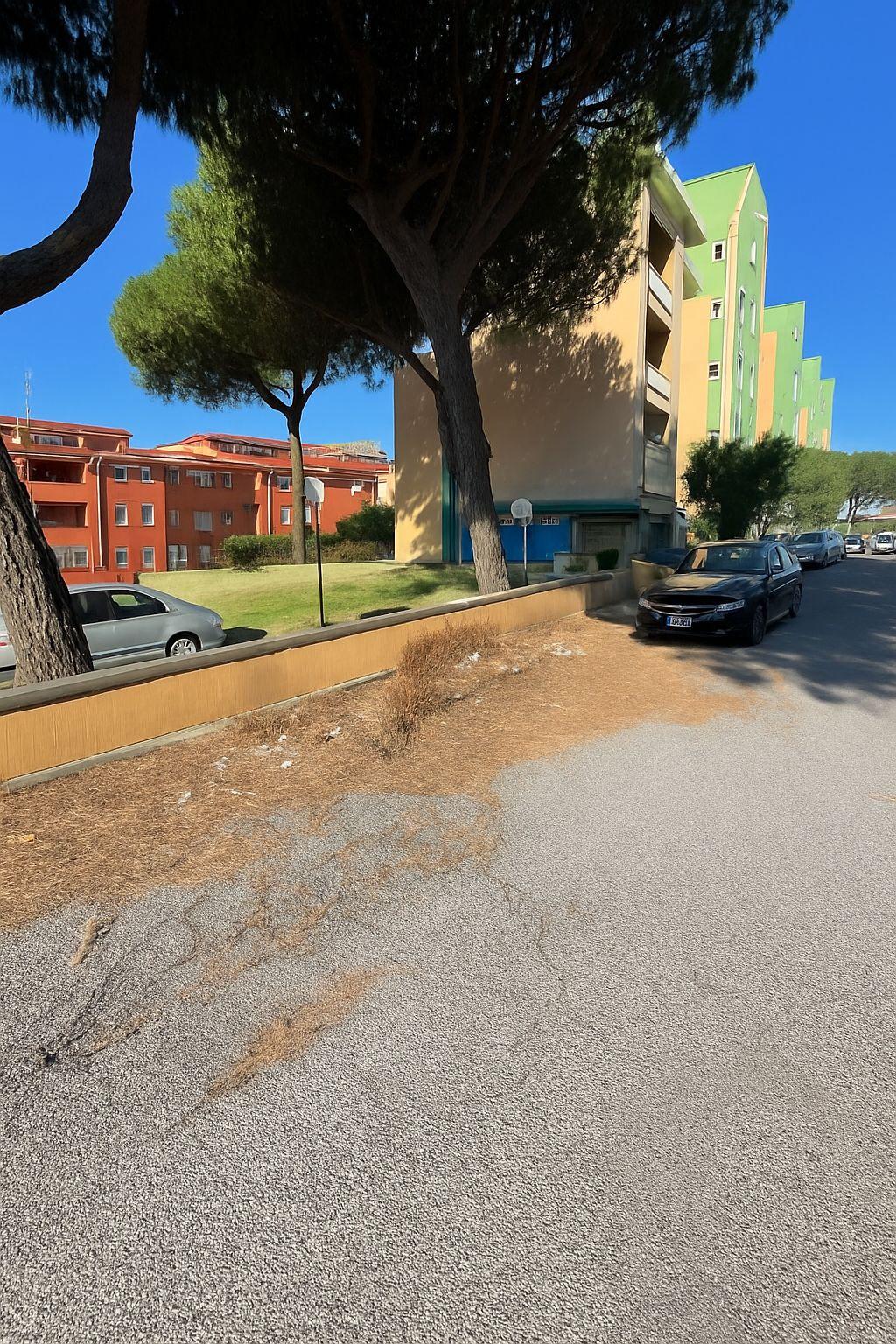 WhatsApp Image 2025-12-12 at 18.00.59.jpeg