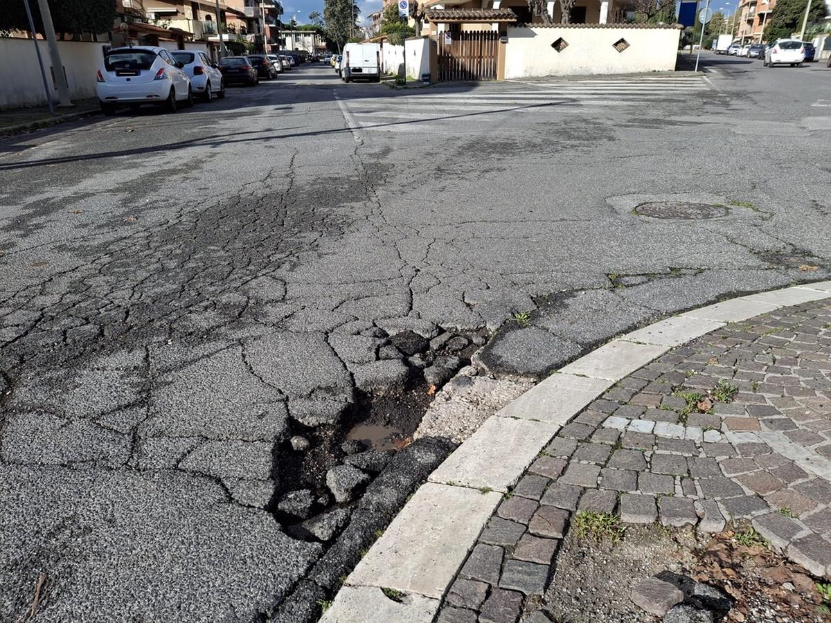 BUCHE-LADISPOLI-2026