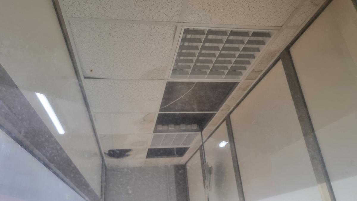 palasport mattonelle.jpg